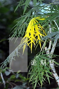逾期还款违约金撤销是什么意思 逾期还款违约金撤销是什么意思