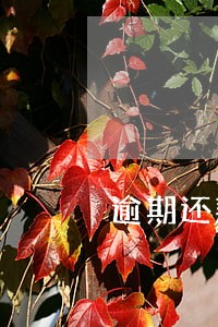 逾期还款违约金是一个月的吗 逾期还款违约金是一个月的吗
