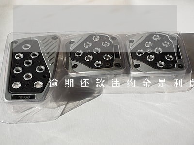 逾期还款违约金是利息吗 逾期还款违约金是利息吗