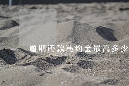 逾期还款违约金最高多少 逾期还款违约金最高多少