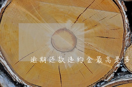 逾期还款违约金最高是多少 逾期还款违约金最高是多少