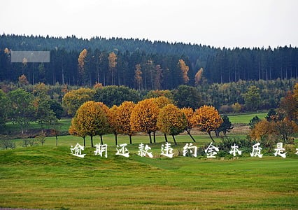 逾期还款违约金本质是利息 逾期还款违约金本质是利息