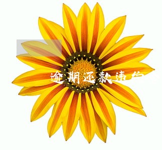 逾期还款违约金模板 逾期还款违约金模板