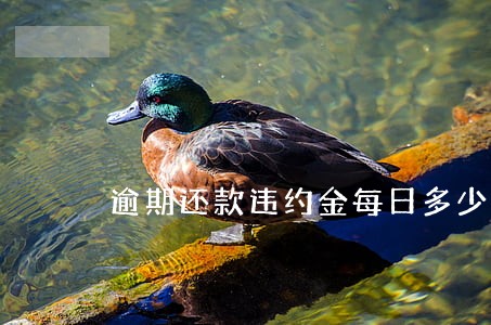 逾期还款违约金每日多少合法 逾期还款违约金每日多少合法