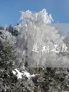 逾期还款违约金每日标准 逾期还款违约金每日标准