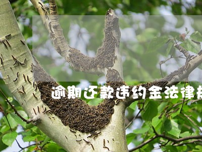 逾期还款违约金法律规定 逾期还款违约金法律规定