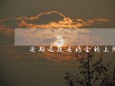逾期还款违约金的上限 逾期还款违约金的上限