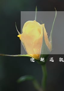 逾期还款违约金的法律法规 逾期还款违约金的法律法规