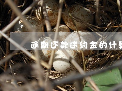 逾期还款违约金的计算 逾期还款违约金的计算
