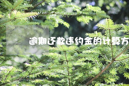 逾期还款违约金的计算方法 逾期还款违约金的计算方法