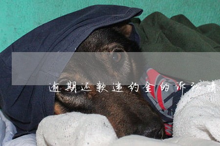 逾期还款违约金的诉讼请求怎么写 逾期还款违约金的诉讼请求怎么写