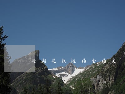 逾期还款违约金约定 逾期还款违约金约定