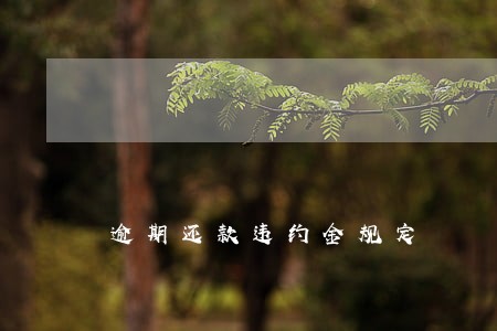 逾期还款违约金规定 逾期还款违约金规定
