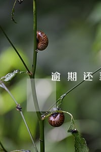 逾期还款违约金调整 逾期还款违约金调整