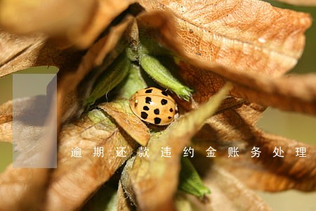 逾期还款违约金账务处理 逾期还款违约金账务处理
