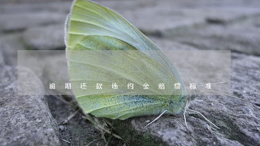 逾期还款违约金赔偿标准 逾期还款违约金赔偿标准