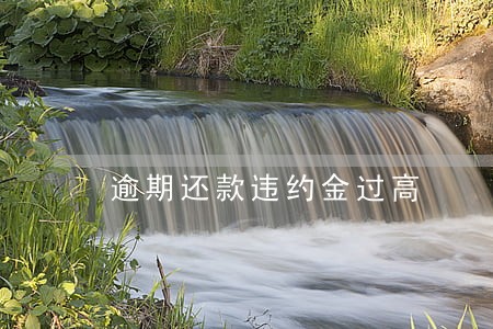 逾期还款违约金过高 逾期还款违约金过高