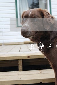 逾期还款造成的信用不良 逾期还款造成的信用不良