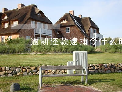 逾期还款逮捕令什么时候撤销