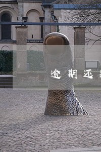 逾期还款金额什么时候查询 逾期还款金额什么时候查询
