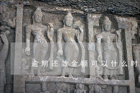 逾期还款金额可以什么时候查询 逾期还款金额可以什么时候查询