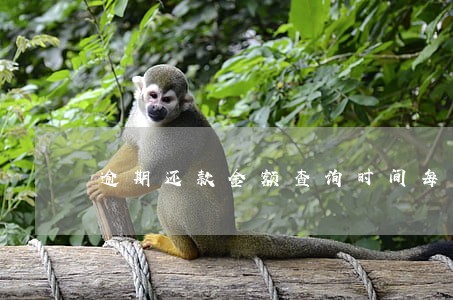 逾期还款金额查询时间每月1日 逾期还款金额查询时间每月1日
