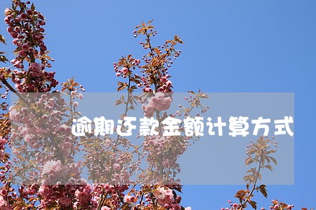 逾期还款金额计算方式 逾期还款金额计算方式