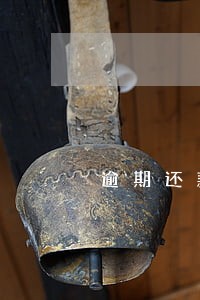 逾期还款银行会不会注意到我
