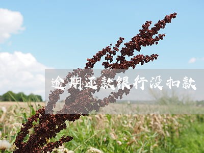 逾期还款银行没扣款 逾期还款银行没扣款