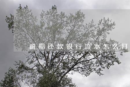 逾期还款银行流水怎么打 逾期还款银行流水怎么打