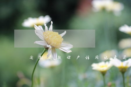 逾期还款销户信用记录还会影响吗 逾期还款销户信用记录还会影响吗