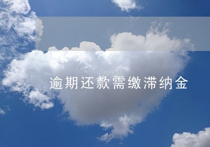 逾期还款需缴滞纳金 逾期还款需缴滞纳金