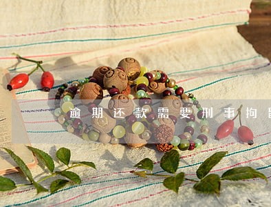 逾期还款需要刑事拘留吗 逾期还款需要刑事拘留吗