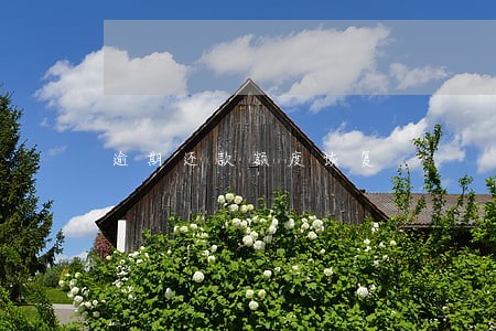 逾期还款额度恢复 逾期还款额度恢复