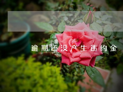 逾期还没产生违约金 逾期还没产生违约金