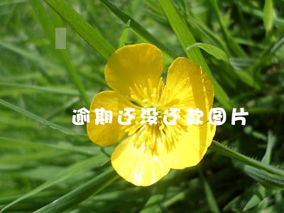 逾期还没还款图片 逾期还没还款图片