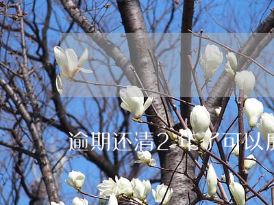逾期还清2年了可以房贷吗 逾期还清2年了可以房贷吗