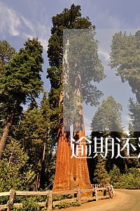 逾期还清2年后 逾期还清2年后