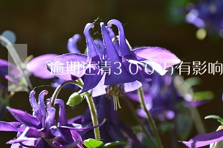逾期还清300万有影响吗 逾期还清300万有影响吗