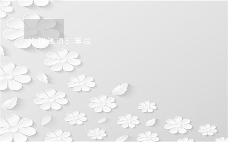 逾期还清5年后 逾期还清5年后
