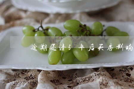逾期还清5年后买房影响吗 逾期还清5年后买房影响吗