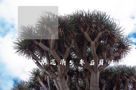 逾期还清5年后可以买房贷款 逾期还清5年后可以买房贷款