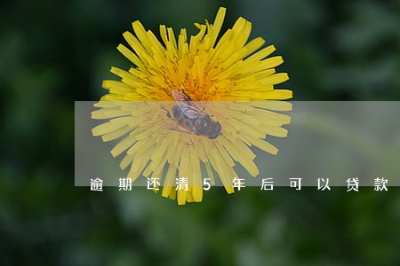 逾期还清5年后可以贷款买房吗