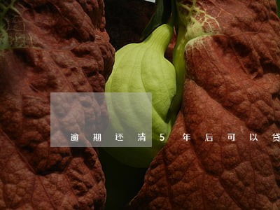 逾期还清5年后可以贷款吗