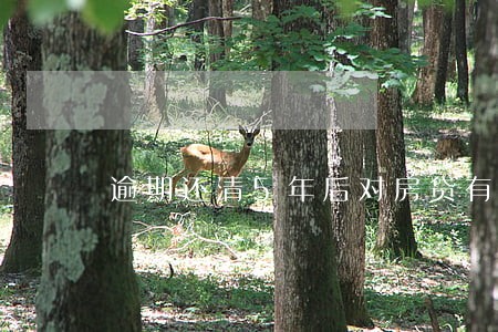 逾期还清5年后对房贷有没有影响 逾期还清5年后对房贷有没有影响