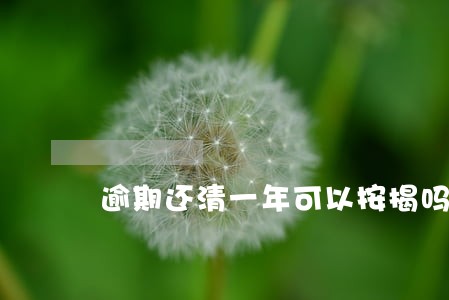 逾期还清一年可以按揭吗 逾期还清一年可以按揭吗