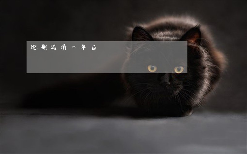 逾期还清一年后 逾期还清一年后