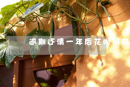 逾期还清一年后花呗可用 逾期还清一年后花呗可用