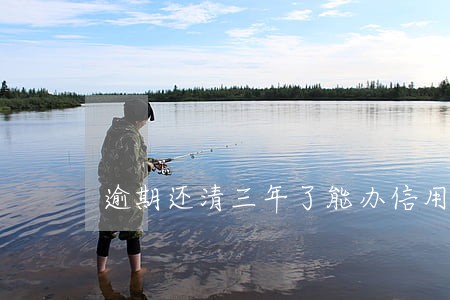 逾期还清三年了能办信用卡吗