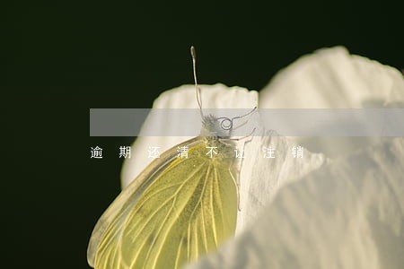 逾期还清不让注销 逾期还清不让注销